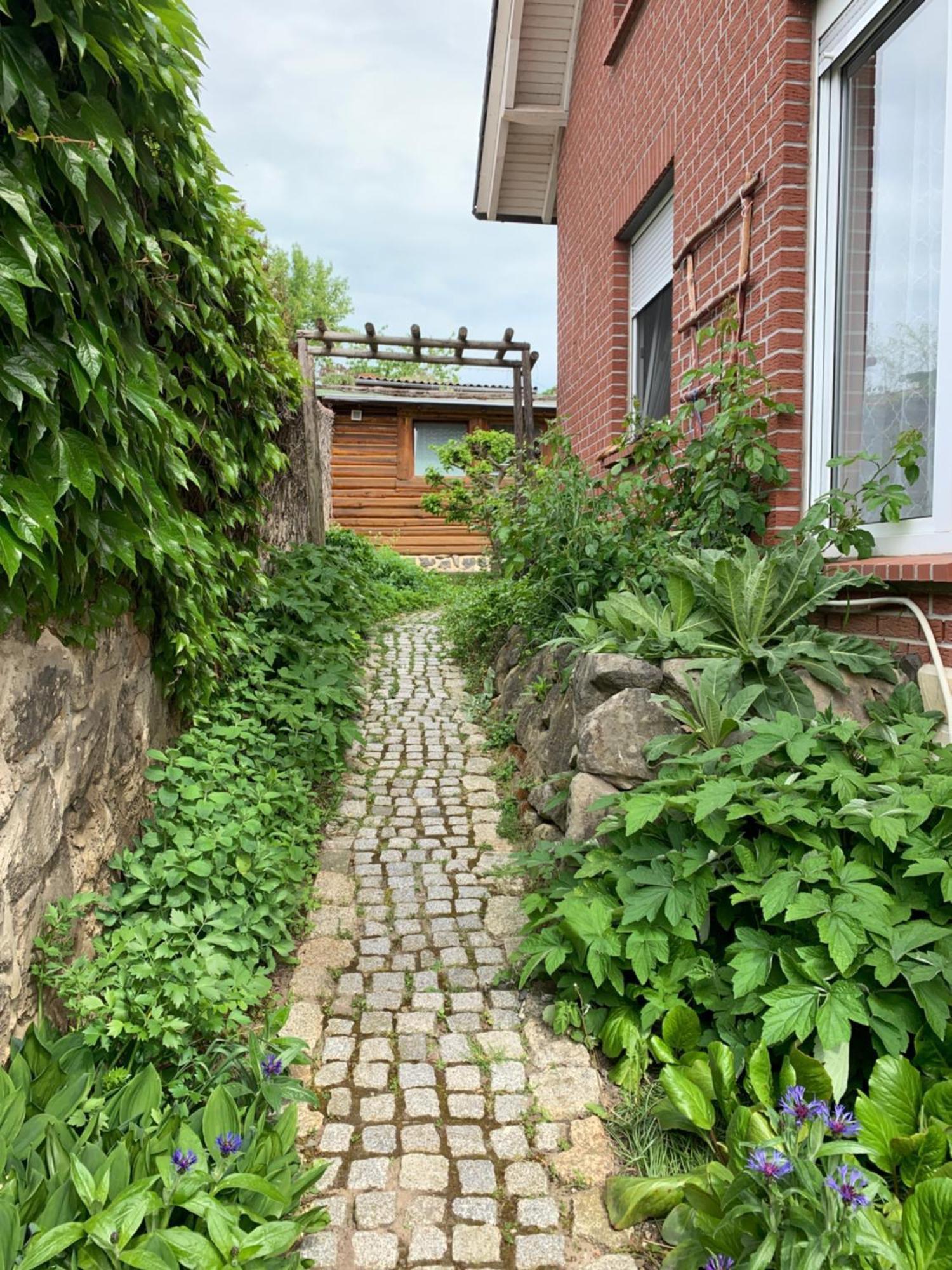 Blockhausvermietung "Vor Dem Groeperntor" Quedlinburg Exterior foto